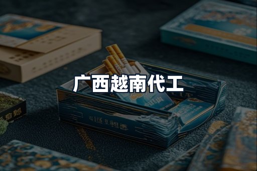 广西越南代工